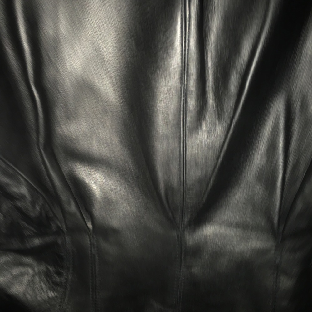 Wilson’s Leather Form Fitting Jacket - image 5